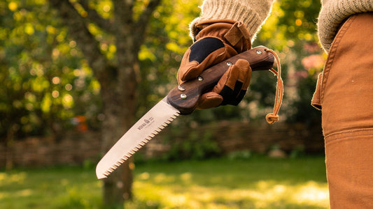 Time to prune your trees