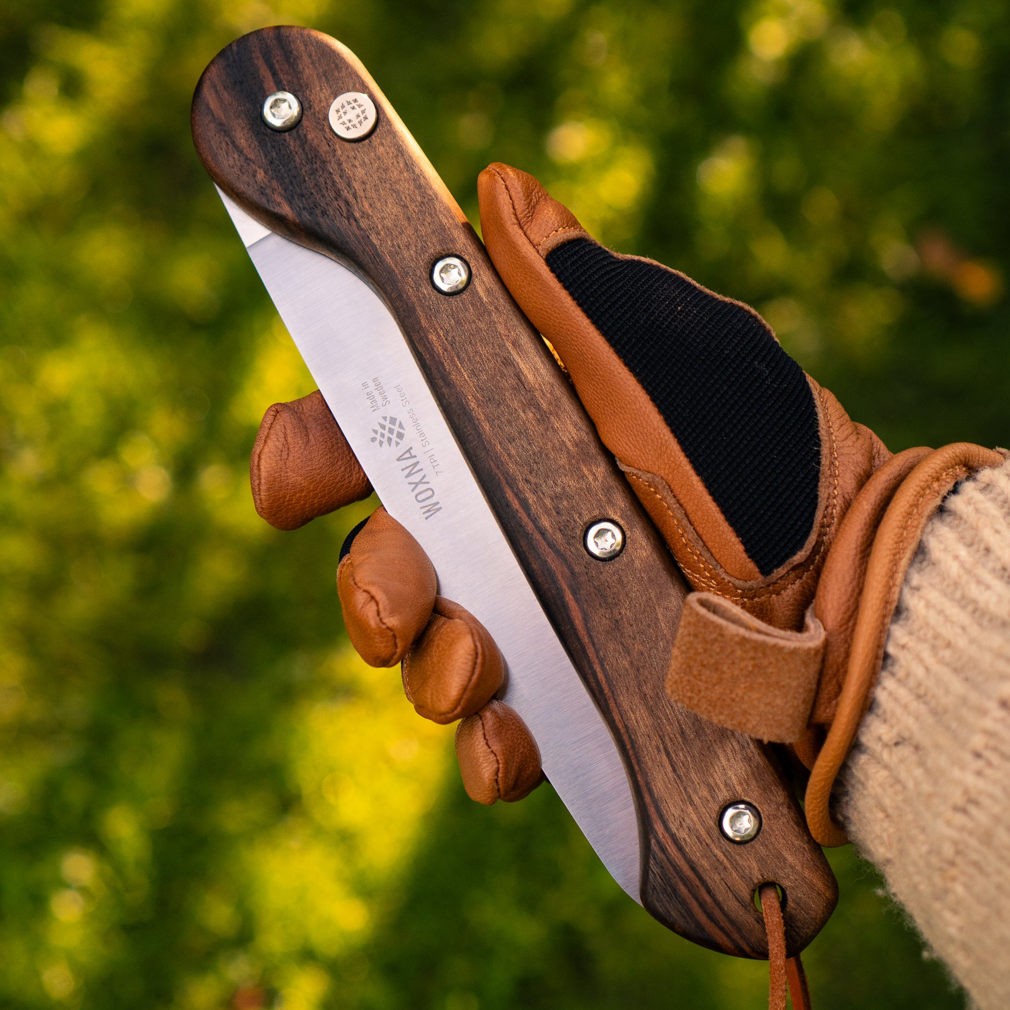 Saws – Woxna