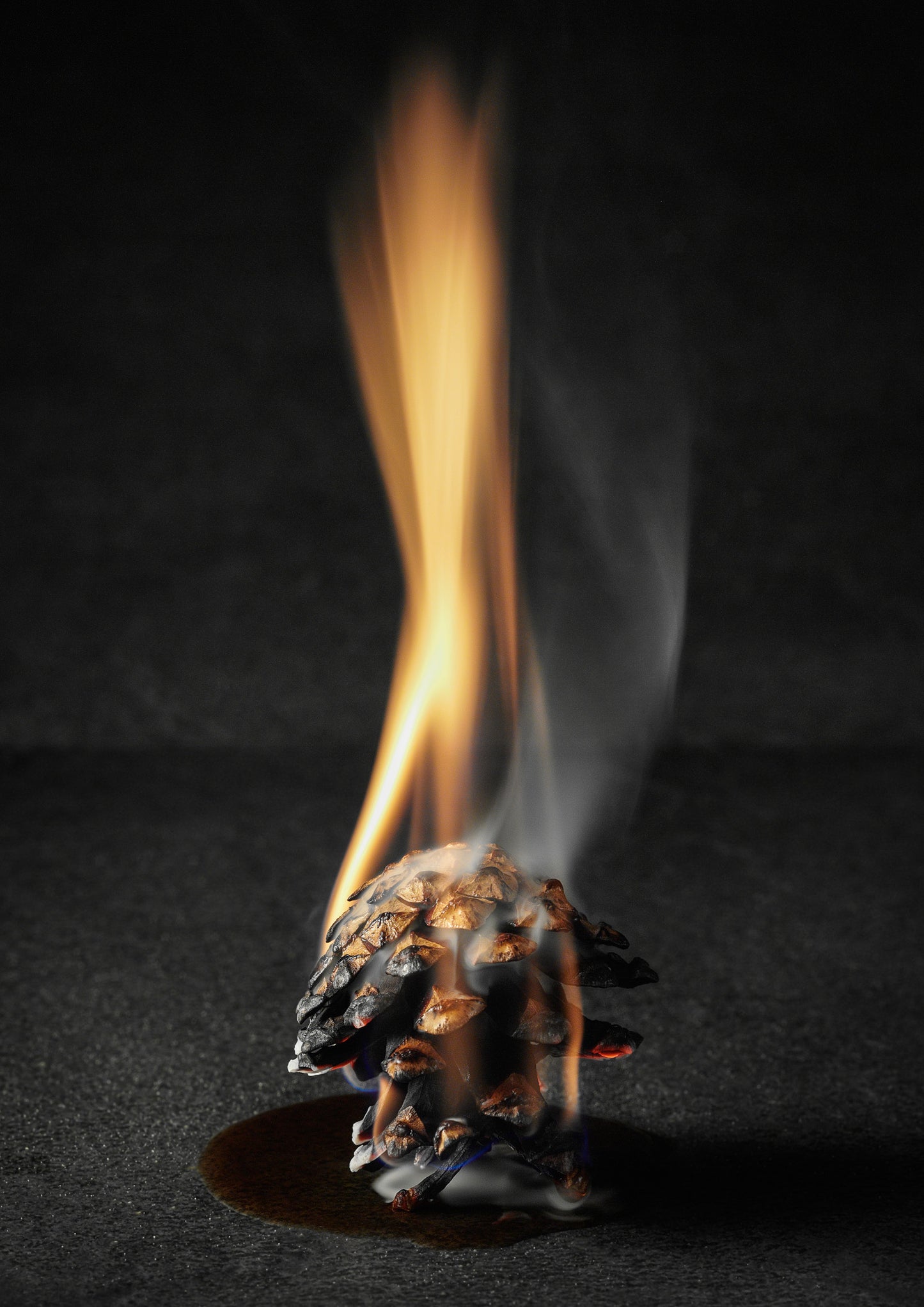 Woxna - Pinecone Firestarters