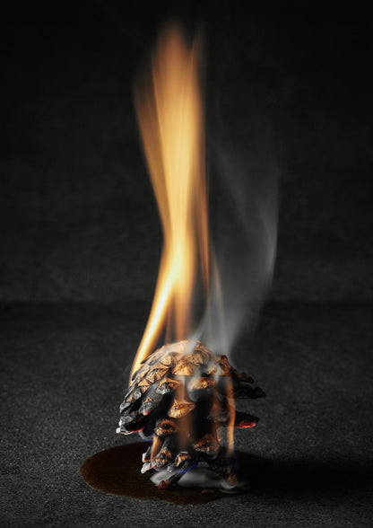 Woxna - Pinecone Firestarters